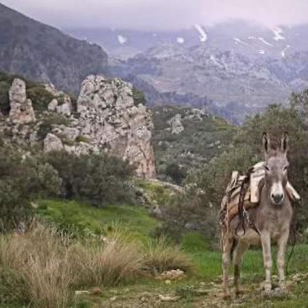 Traditional Cretan House Lithostrati Karidi Village Экстерьер фото