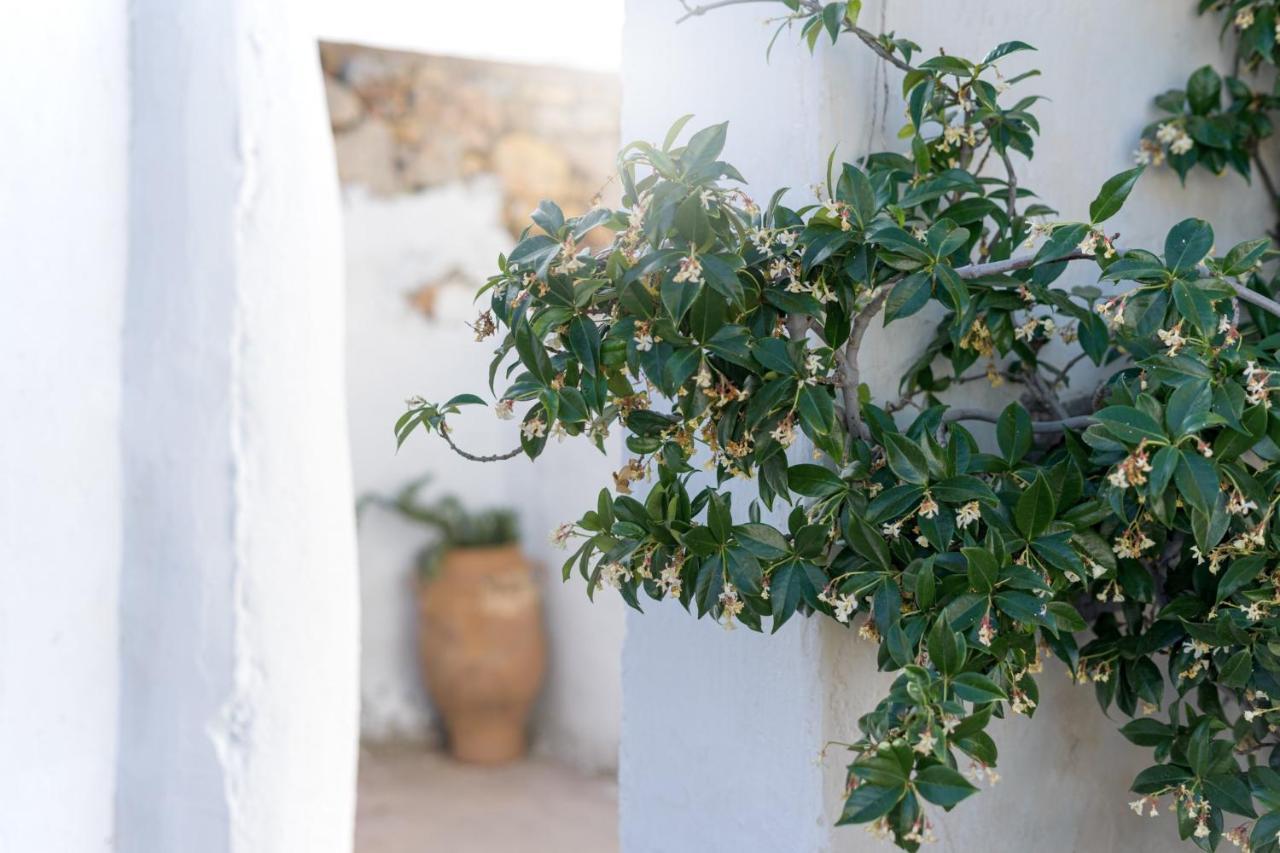 Traditional Cretan House Lithostrati Karidi Village Экстерьер фото