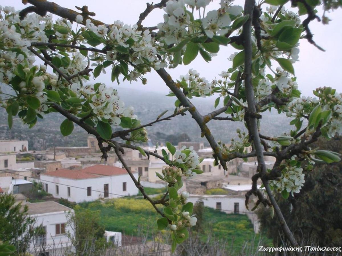 Traditional Cretan House Lithostrati Karidi Village Экстерьер фото