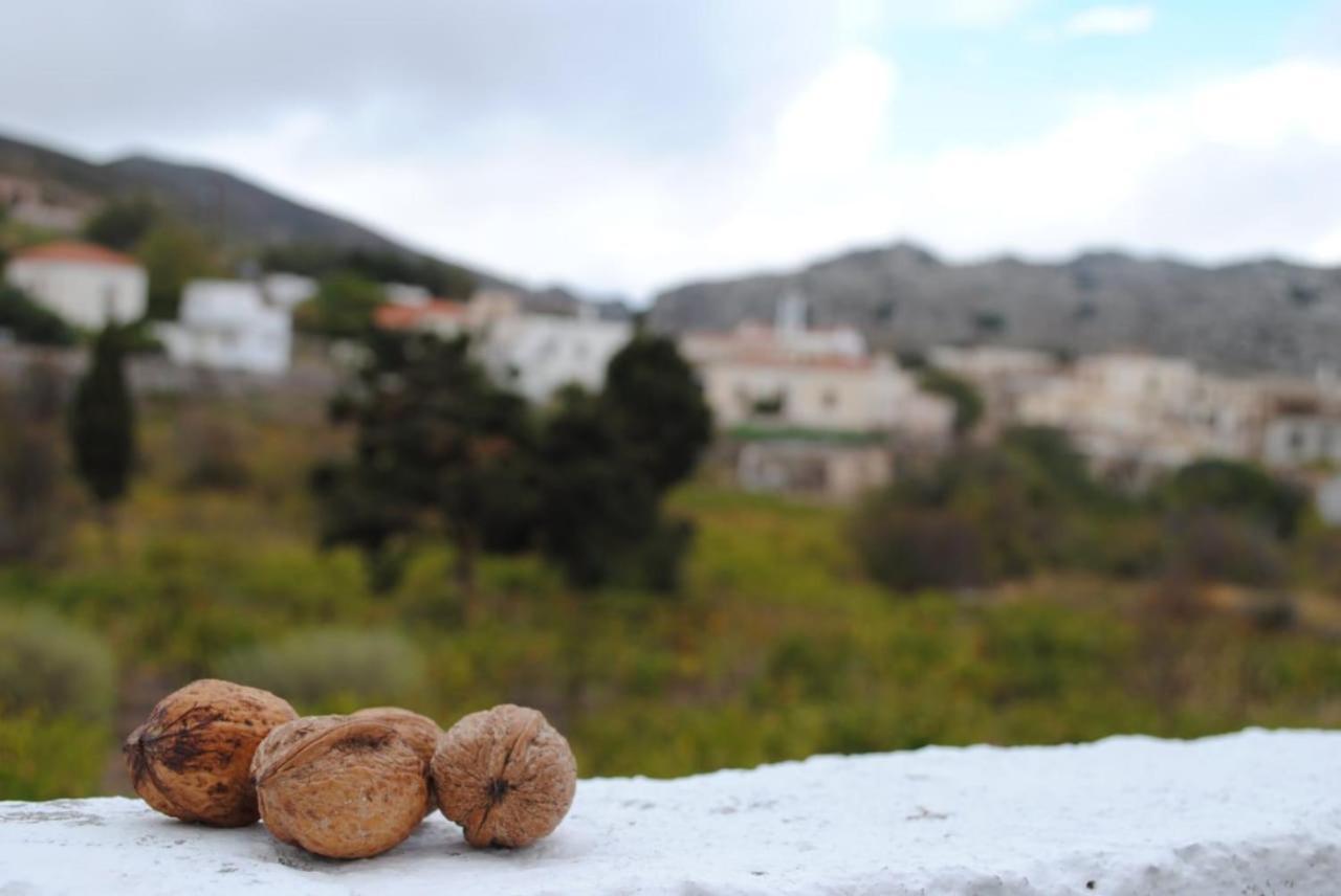 Traditional Cretan House Lithostrati Karidi Village Экстерьер фото