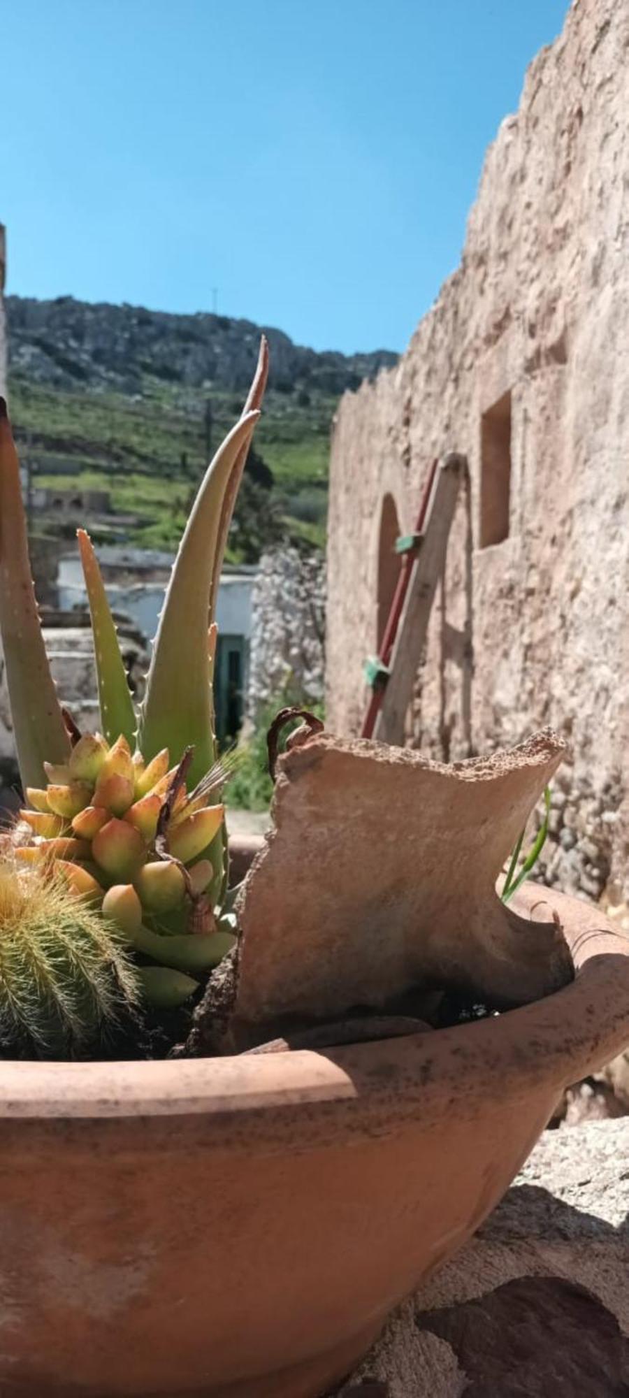 Traditional Cretan House Lithostrati Karidi Village Экстерьер фото